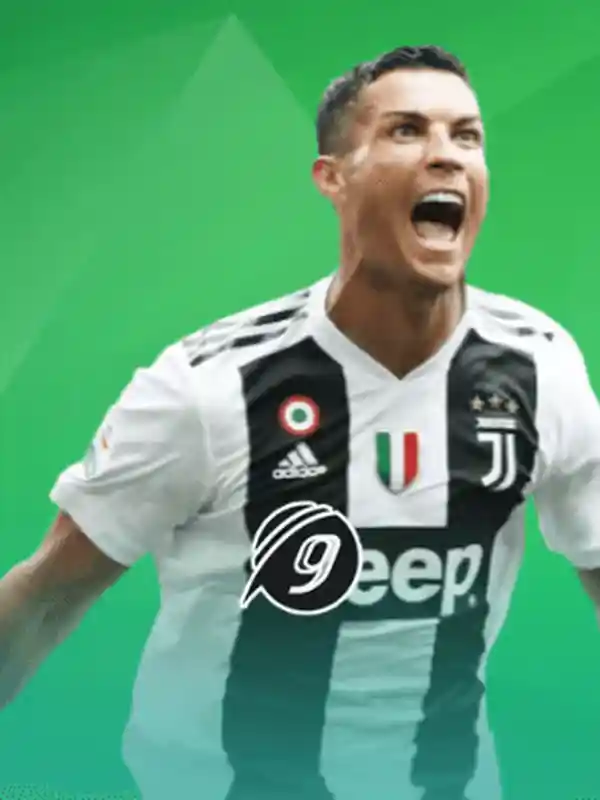 9Wickets খেলাধুলা ক্যাসিনো